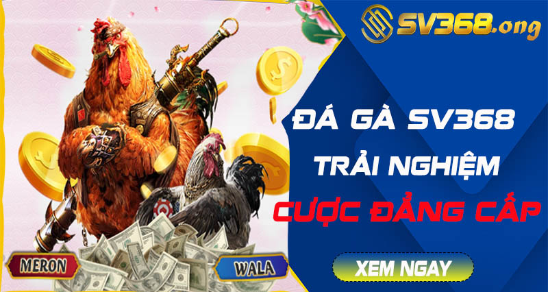 Đá gà sv368 - Trải nghiệm sảnh game thú vị hơn tất cả 2 đá gà sv368