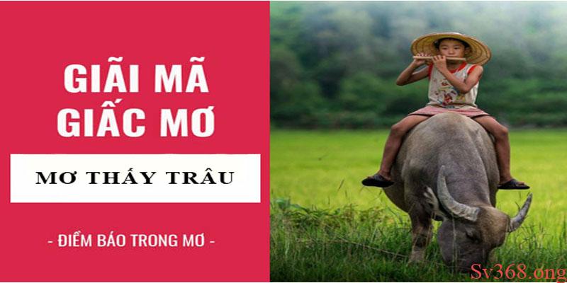 Mơ Thấy Trâu Là Điềm Gì? Con Số Khi Mơ Thấy Trâu? 9 Mộng thấy trâu có ý nghĩa gì, gửi gắm thông điệp cuộc sống ra sao?