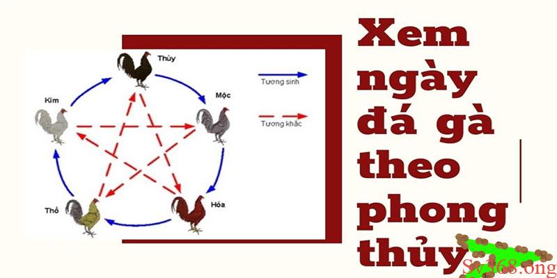 Chia Sẻ Cách Xem Ngày Đá Gà Mang Lại Chiến Thắng Cho Bạn 1 Xem ngày đá gà đang rất phổ biến