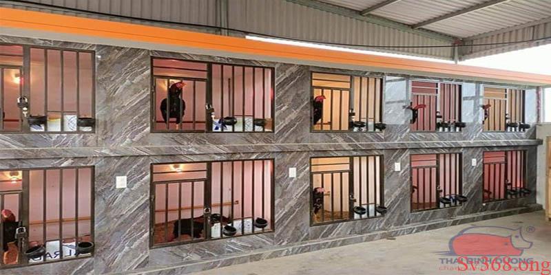 Hướng Dẫn Cách Làm Chuồng Bay Cho Gà Đá Đơn Giản Tại Sv368 9 cách làm chuồng gà bay cho gà đá