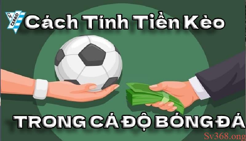 Hướng Dẫn Cách Tính Tiền Trong Cá Độ Bóng Đá Chuẩn Xác Nhất 5 Công thức tính tiền trong cá độ bóng đá khi thắng cược