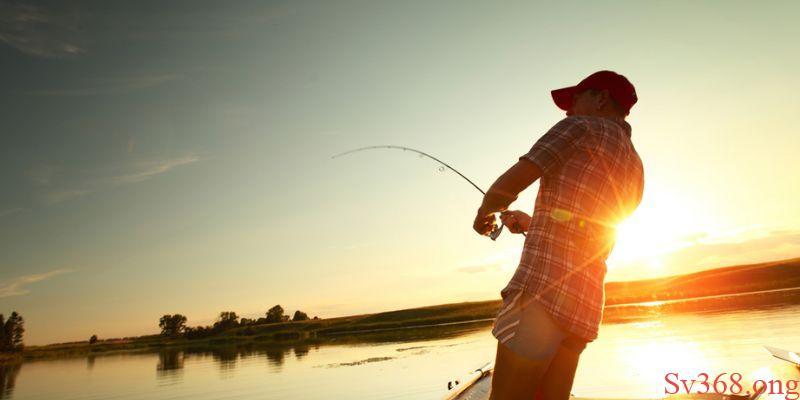 Mơ Thấy Đi Câu Cá - Thông Điệp Về Các Giấc Mơ Cùng SV368 9 Thông điệp chung về việc mơ thấy đi câu cá