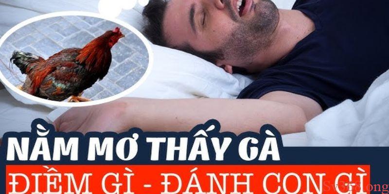 Mơ Thấy Gà Là Điềm Tốt Hay Điềm Xấu Và Con Số May Mắn 2025 10 Ý nghĩa khi mơ thấy gà tốt là điềm tốt hay xấu