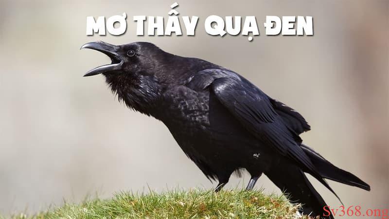 Giải Mã Giấc Mơ Thấy Quạ Đen - Chọn Số Gì Để May Mắn? 6 mơ thấy quạ đen