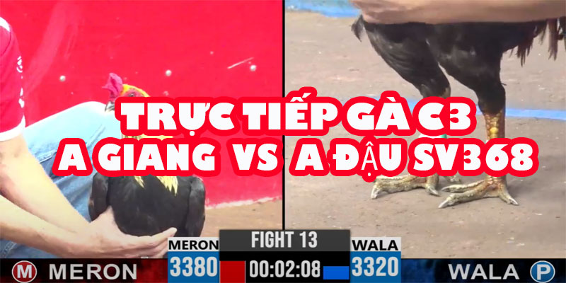 A Giang Thách Thức Đẳng Cấp SV368: So Kè A Đậu Trong Kèo 30 Triệu! 7 A Giang Thách Thức Đẳng Cấp SV368: So Kè A Đậu Trong Kèo 30 Triệu!