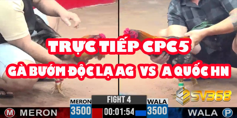 CPC5: Gà Bướm Độc Lạ An Giang có vượt qua được A.Quốc Hồng Ngự? 3 CPC5: Gà Bướm Độc Lạ An Giang có vượt qua được A.Quốc Hồng Ngự?
