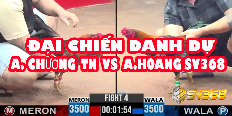 Đại Chiến Danh Dự: A Chương Tây Ninh thách đấu A Hoàng SV368 | Kèo Đồng 30 4 Đại Chiến Danh Dự: A Chương Tây Ninh thách đấu A Hoàng SV368 | Kèo Đồng 30