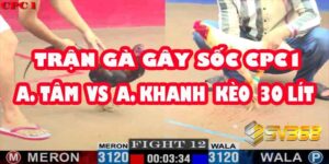 Kết Quả Gây Sốc: Gà A Tâm Thua Khó Tin, A Khanh Bất Ngờ Thắng Kèo 30 Triệu! 19 Kết Quả Gây Sốc: Gà A Tâm Thua Khó Tin, A Khanh Bất Ngờ Thắng Kèo 30 Triệu!