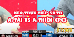 Trực tiếp Đá Gà 50 Triệu: A Tài vs A Thiện - Trận Cầu Không Khoan Nhượng 15 Trực tiếp Đá Gà 50 Triệu: A Tài vs A Thiện - Trận Cầu Không Khoan Nhượng