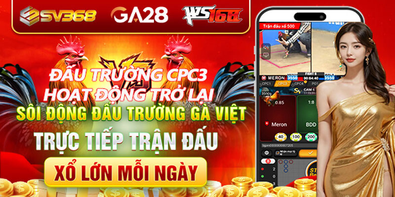 dau truong cpc3 tro lai 1